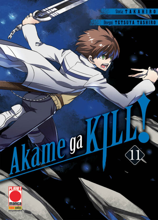 AKAME GA KILL! 11 (di 15)