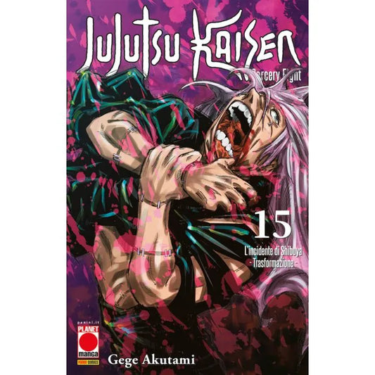 JUJUTSU KAISEN - SORCERY FIGHT 15