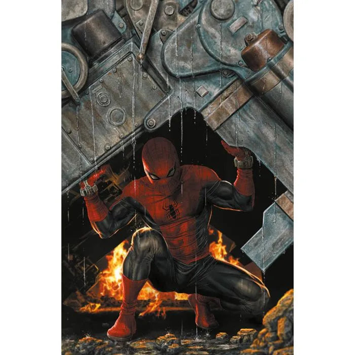 RADIOATTIVO SPIDER-MAN 02 (di 3) Variant Cover di Lee Bermejo